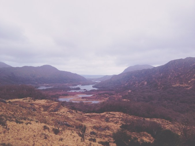 Processed with VSCOcam with t3 preset