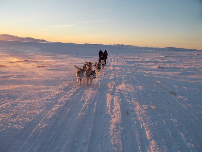 Photo 8-01-2014 9 58 24 pm