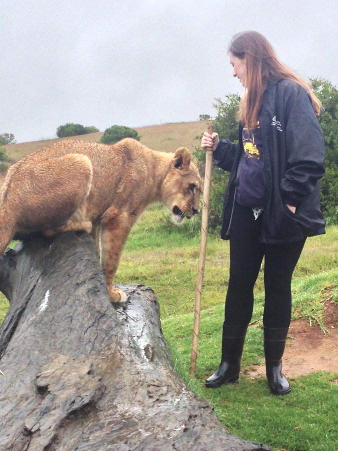 2014-12-04 07.17.43 HDR-2