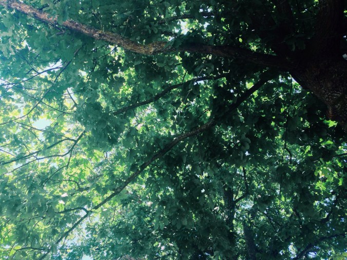 Processed with VSCOcam with g3 preset