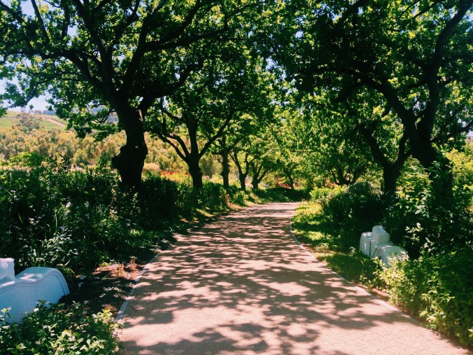 Processed with VSCOcam with c1 preset