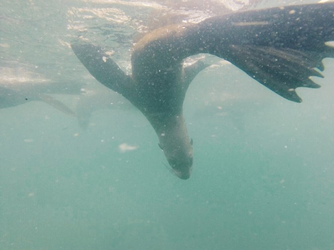 Processed with VSCOcam with g3 preset