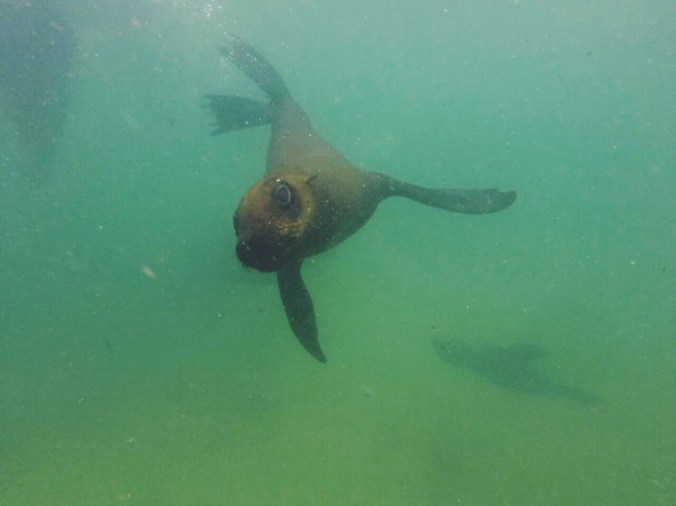 Processed with VSCOcam with f2 preset