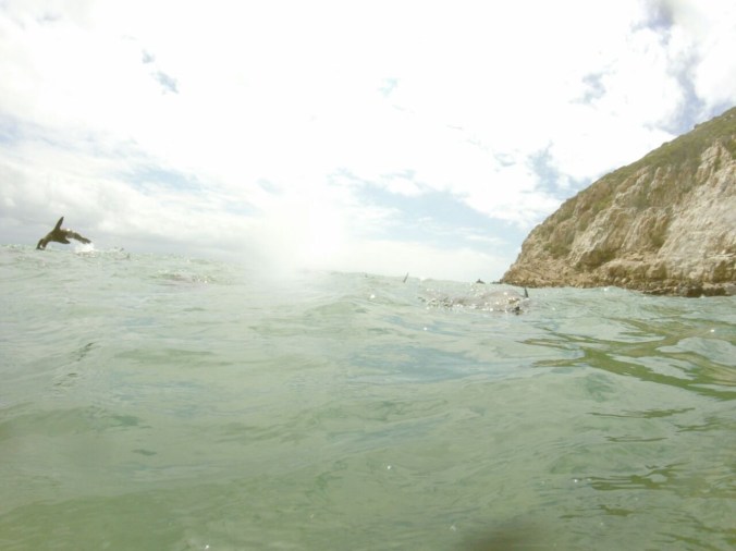 Photo 28-02-2015 12 22 04 pm