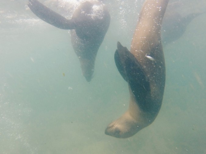 Processed with VSCOcam with hb2 preset