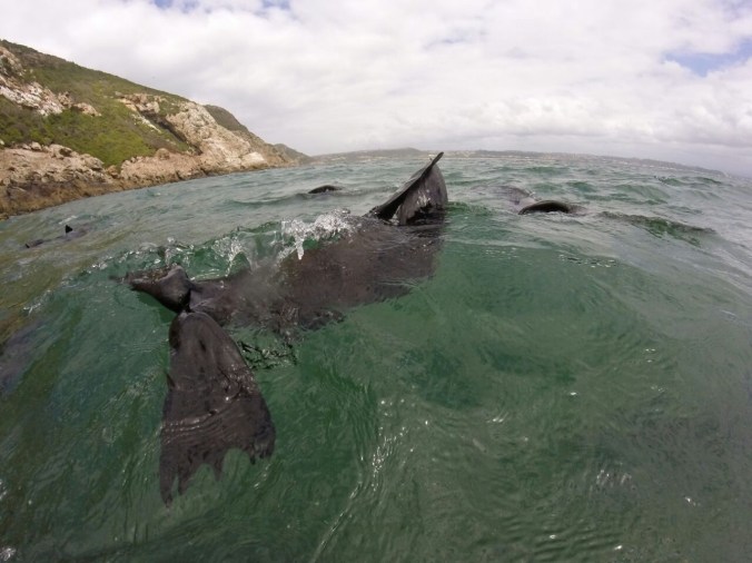 Photo 28-02-2015 12 22 05 pm