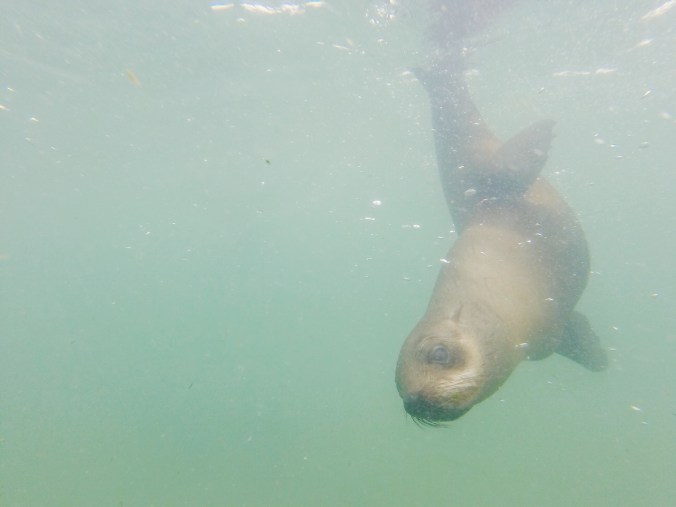 DCIM100GOPRO Processed with VSCOcam with f2 preset