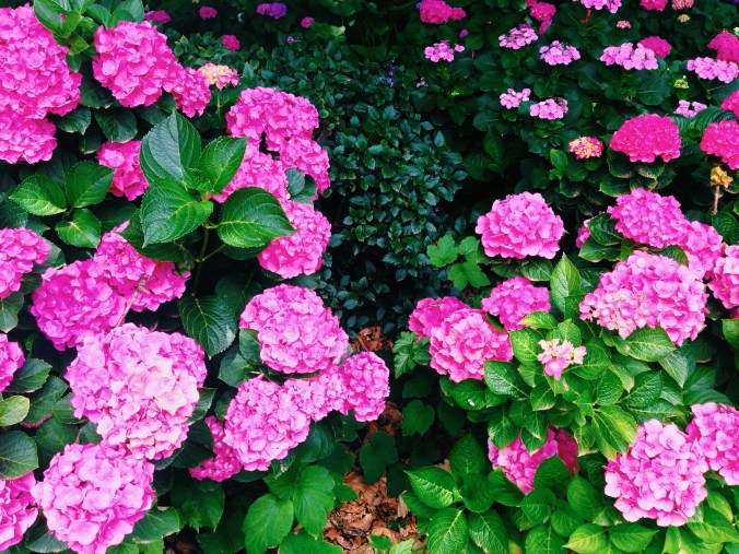 Processed with VSCOcam with c1 preset