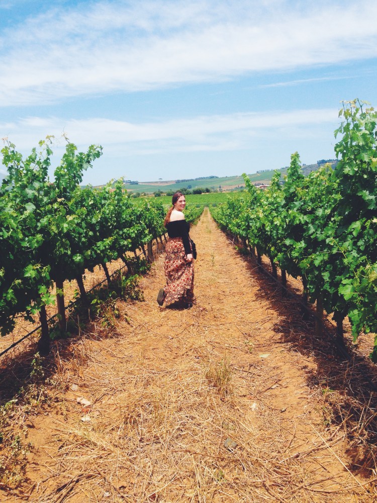 Stellenbosch-Cape-Town-South-Africa