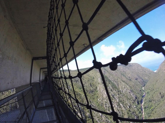 DCIM101GOPRO Processed with VSCOcam with f2 preset