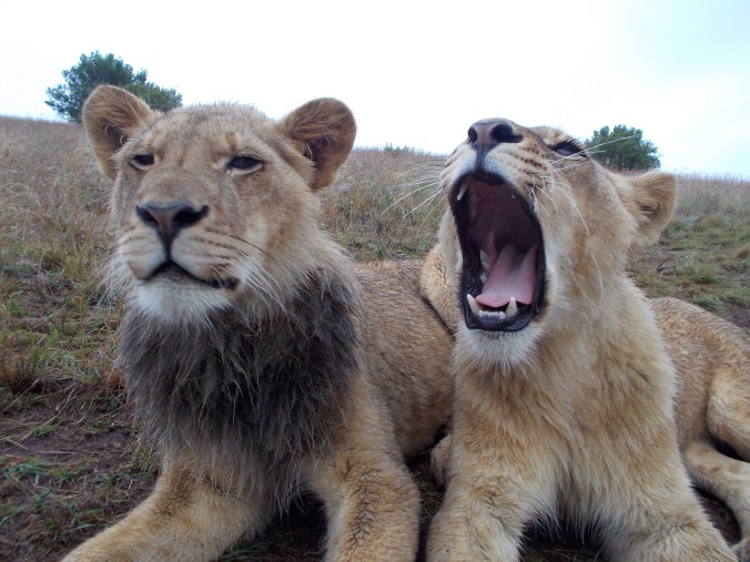 Photo 4-12-2014 4 08 57 pm