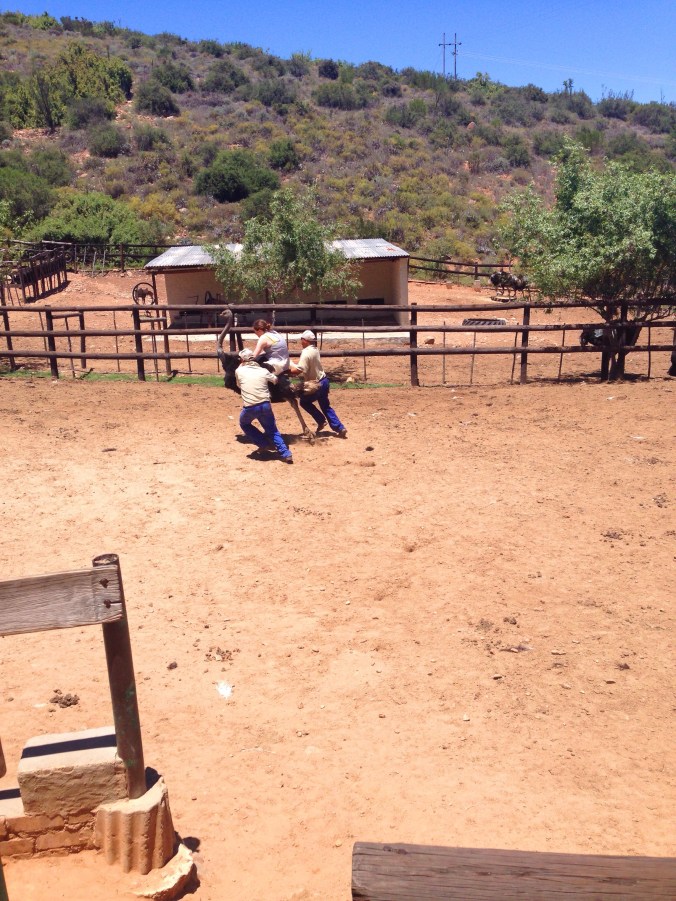 Photo 6-12-2014 11 59 14 am