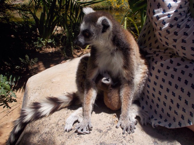 Photo 6-12-2014 9 53 11 pm