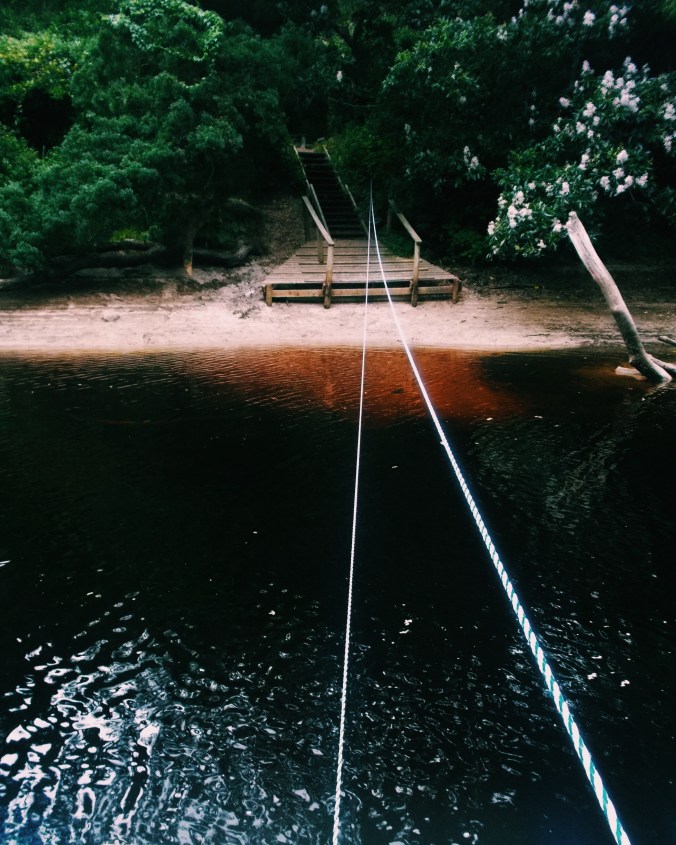 Processed with VSCOcam with c1 preset