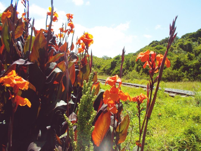 Processed with VSCOcam with s1 preset