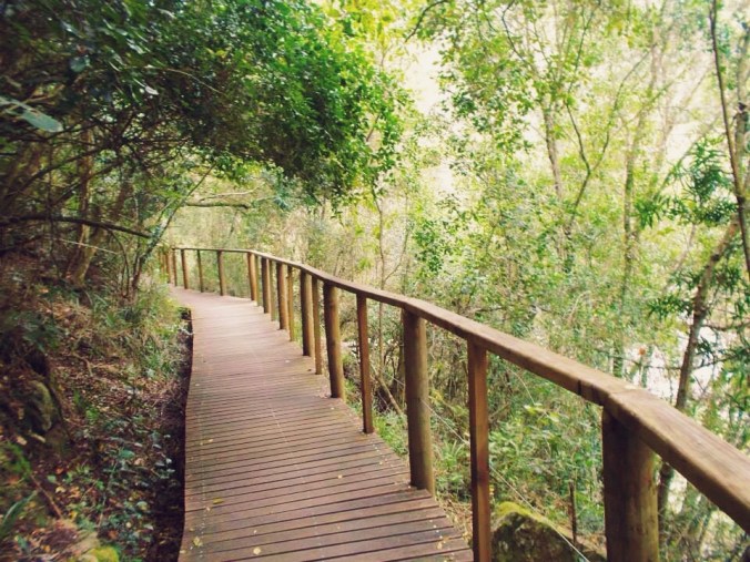 Processed with VSCOcam with s5 preset