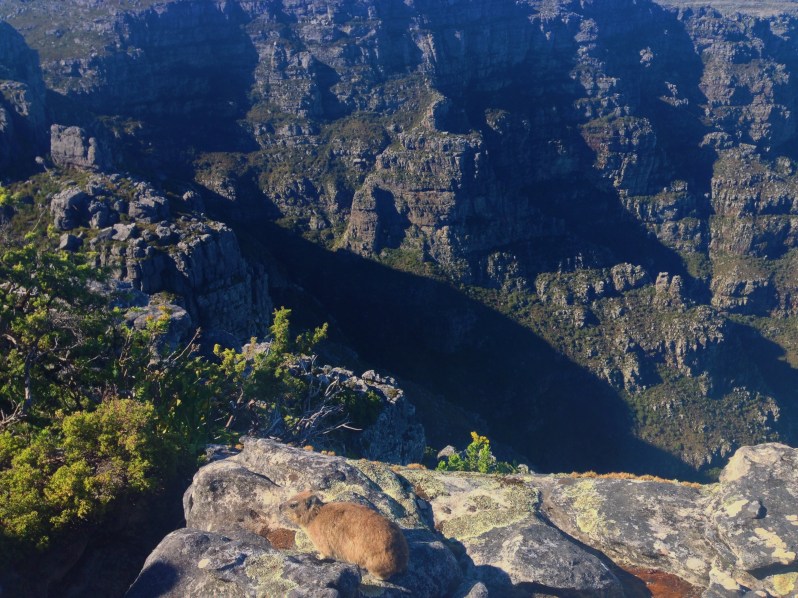 Photo 2-01-2015 8 45 22 am