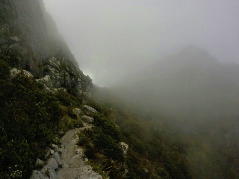 Photo 21-05-2015 10 21 04 am