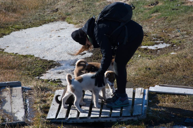 Photo courtesy of Shachaf Gidron