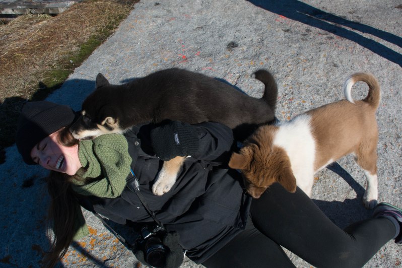 Photo courtesy of Shachaf Gidron