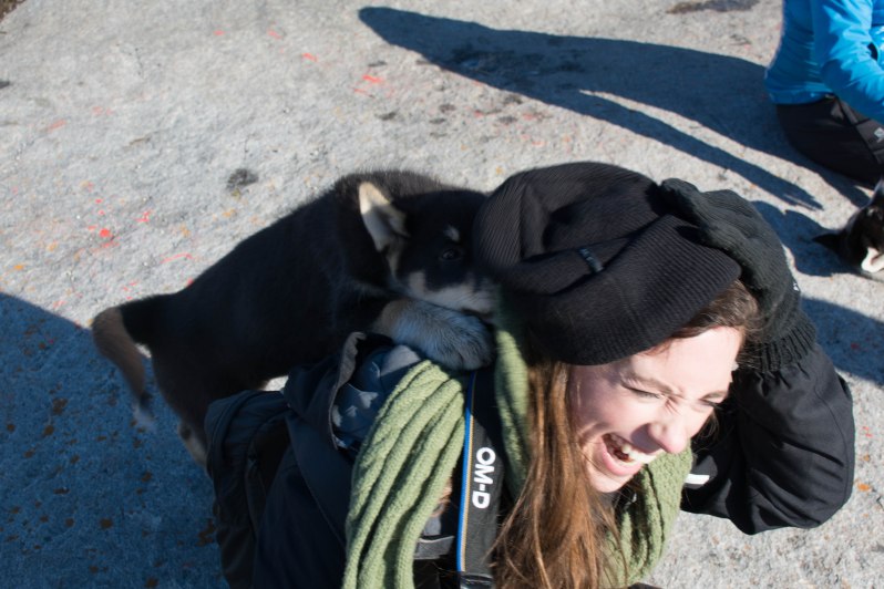 Photo courtesy of Shachaf Gidron