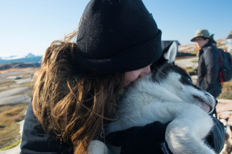 Photo courtesy of Shachaf Gidron