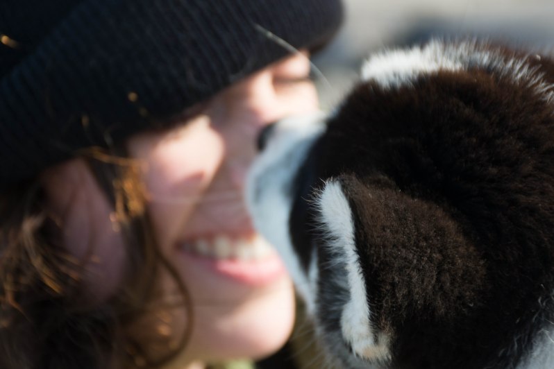 Photo courtesy of Shachaf Gidron