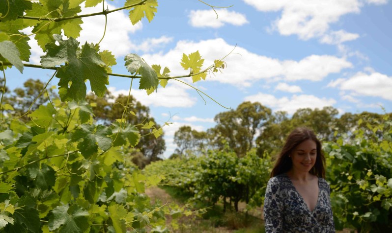 Photo by Victoria Pantazis