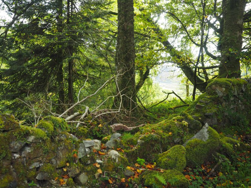 craignure-mull-scotland