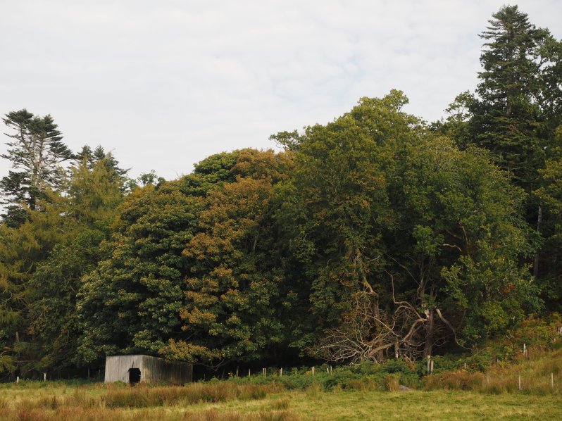 craignure-mull-scotland