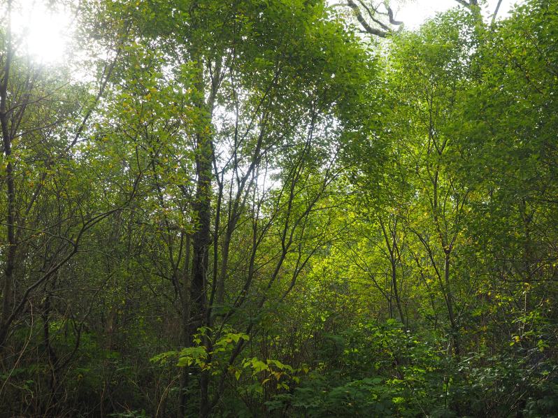 craignure-mull-scotland