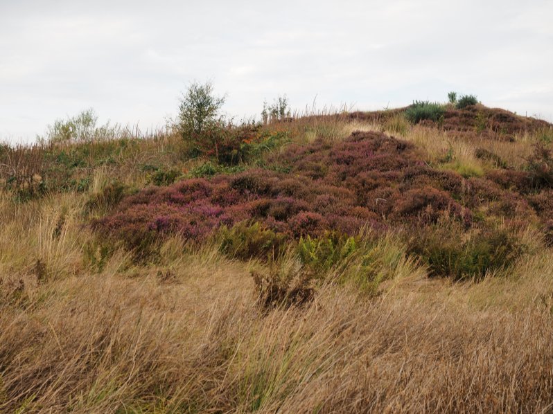 craignure-mull-scotland