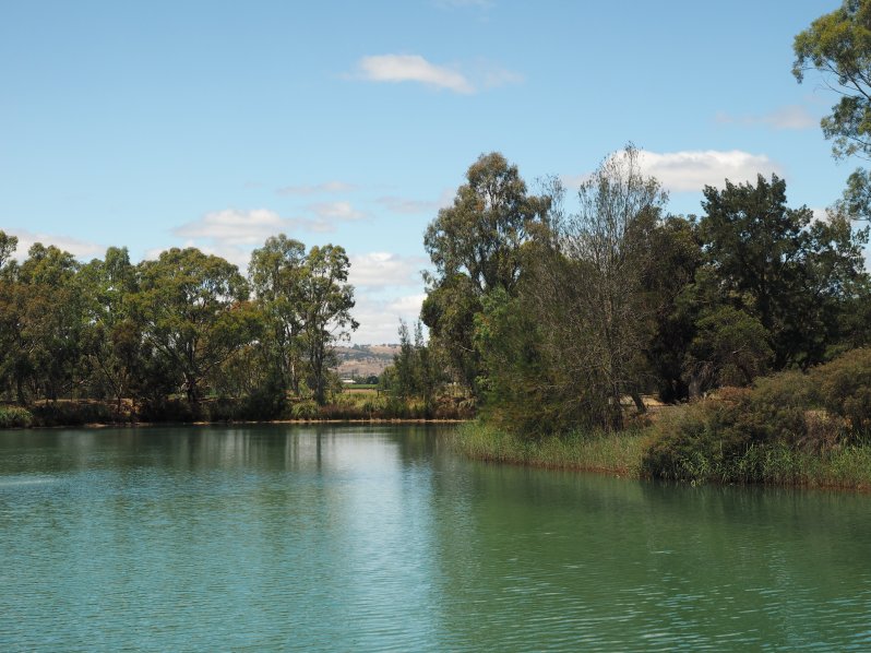 maggie-beer-barossa-south-australia