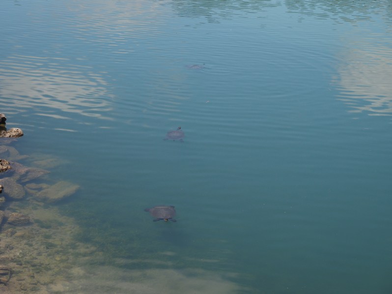 maggie-beer-barossa-south-australia