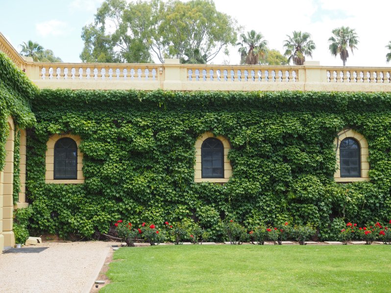 seppeltsfield-barossa-south-australia