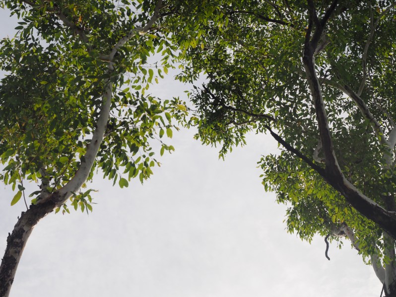 northern-territory-arnhem-highway