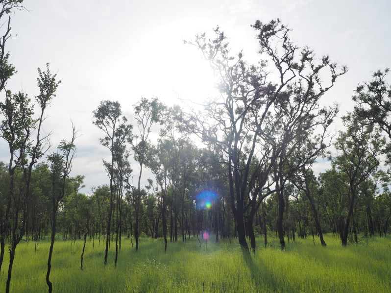 northern-territory-arnhem-highway