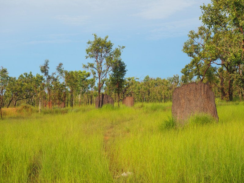 northern-territory-arnhem-highway