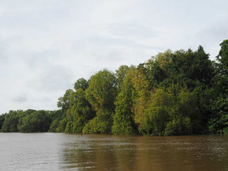 adelaide-river-crocodile-darwin