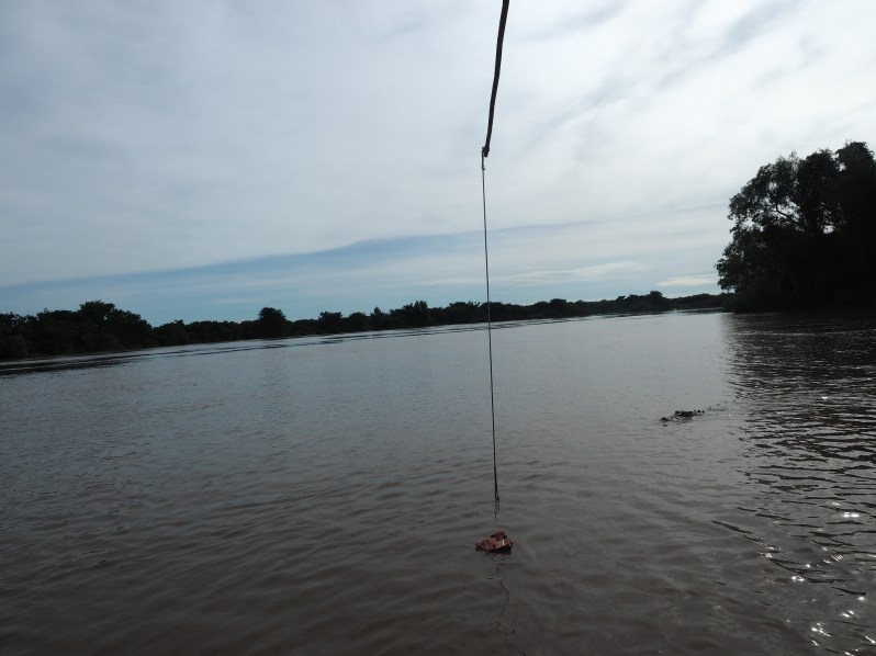 adelaide-river-crocodile-darwin