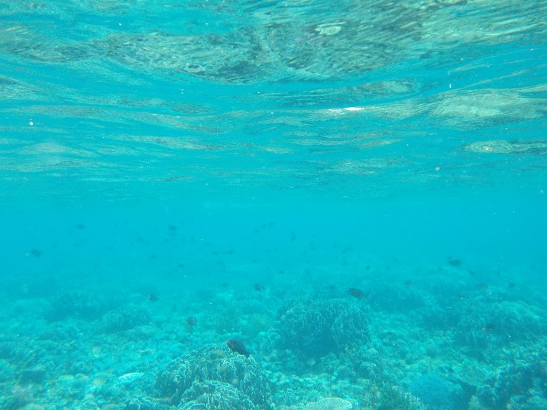 atauro-snorkel-timor-leste
