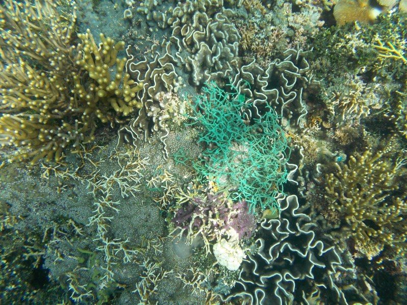 atauro-snorkel-timor-leste