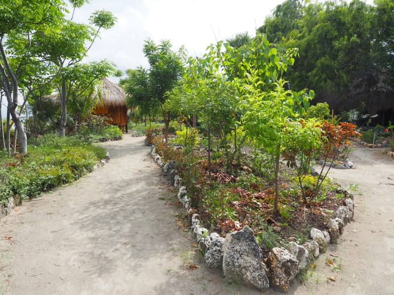 barrys-atuaro-timor-leste