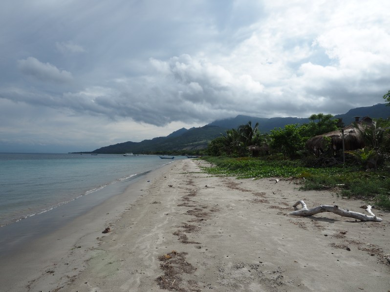 barrys-atuaro-timor-leste