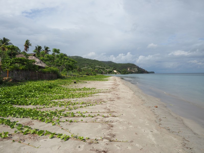 barrys-atuaro-timor-leste
