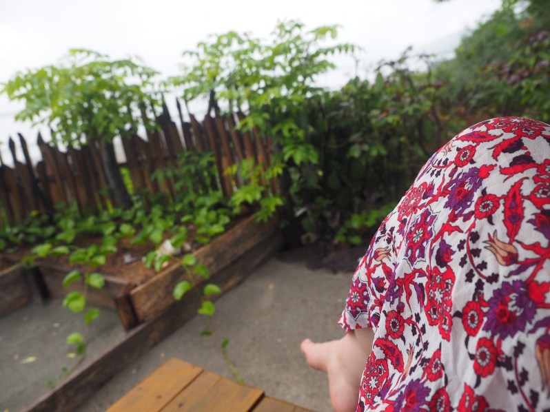 barrys-atuaro-timor-leste