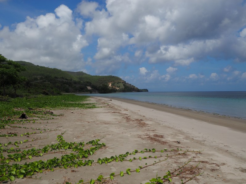 barrys-atuaro-timor-leste