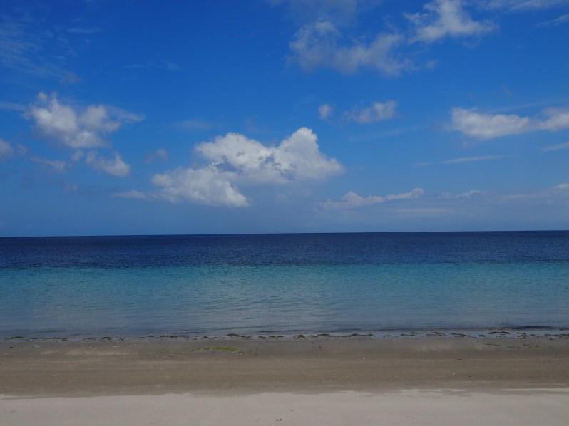 barrys-atuaro-timor-leste