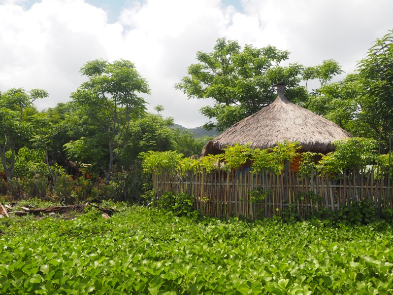 barrys-atauro-timor-leste