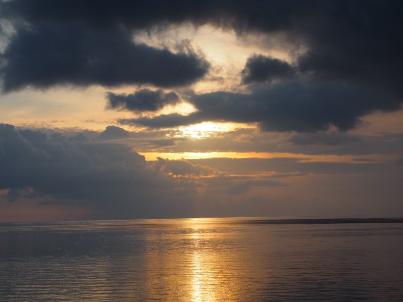 barrys-atuaro-timor-leste